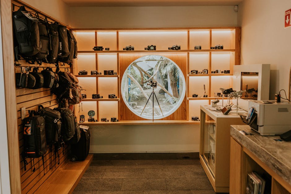 Warm and inviting camera store interior with vintage cameras on display shelves.