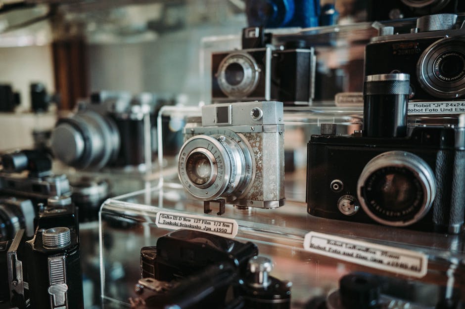 A collection of vintage cameras on display in glass shelves showcasing classic photography equipment.